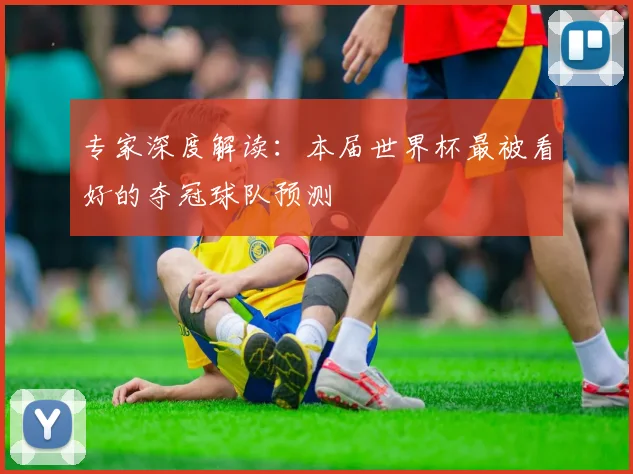 专家深度解读：本届世界杯最被看好的夺冠球队预测