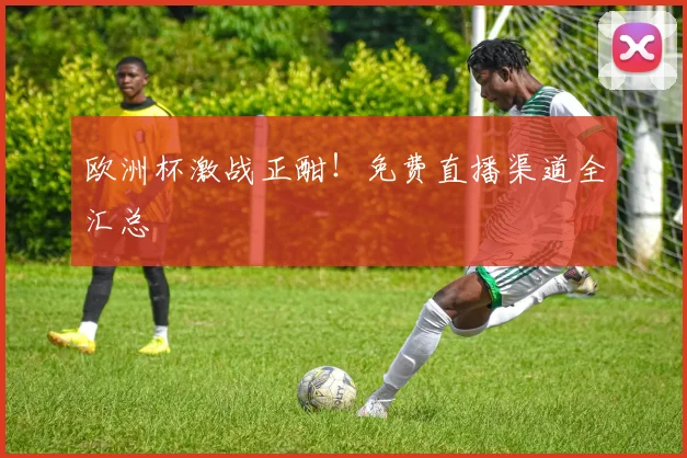 欧洲杯激战正酣！免费直播渠道全汇总